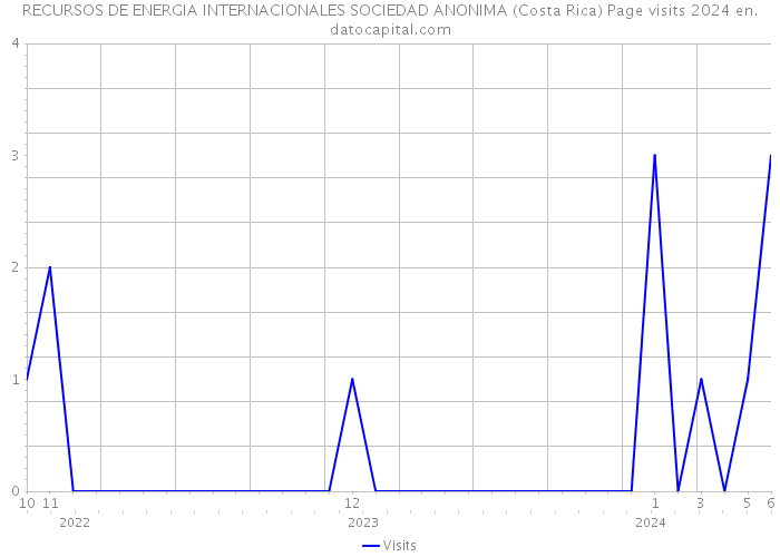 RECURSOS DE ENERGIA INTERNACIONALES SOCIEDAD ANONIMA (Costa Rica) Page visits 2024 