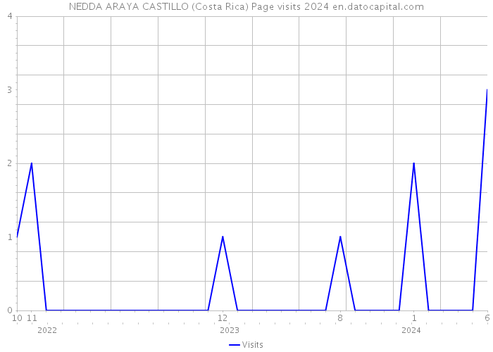 NEDDA ARAYA CASTILLO (Costa Rica) Page visits 2024 