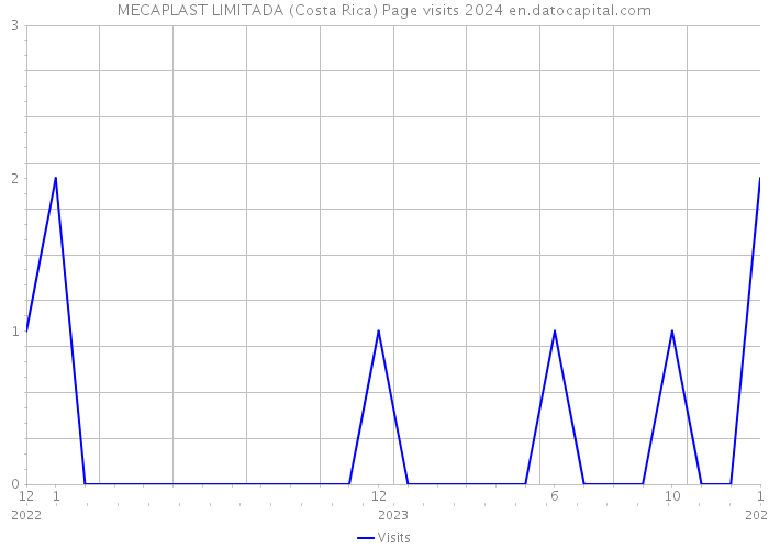 MECAPLAST LIMITADA (Costa Rica) Page visits 2024 