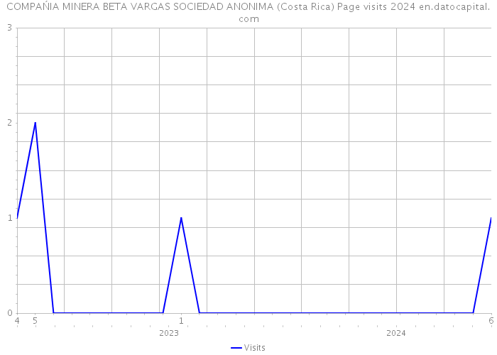 COMPAŃIA MINERA BETA VARGAS SOCIEDAD ANONIMA (Costa Rica) Page visits 2024 