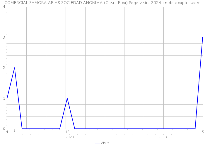COMERCIAL ZAMORA ARIAS SOCIEDAD ANONIMA (Costa Rica) Page visits 2024 
