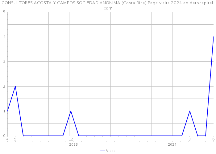 CONSULTORES ACOSTA Y CAMPOS SOCIEDAD ANONIMA (Costa Rica) Page visits 2024 