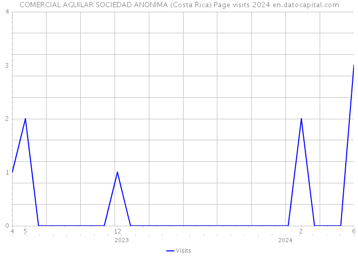 COMERCIAL AGUILAR SOCIEDAD ANONIMA (Costa Rica) Page visits 2024 