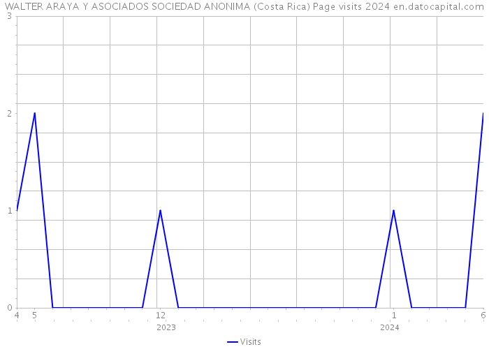 WALTER ARAYA Y ASOCIADOS SOCIEDAD ANONIMA (Costa Rica) Page visits 2024 