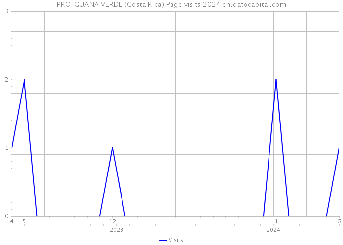PRO IGUANA VERDE (Costa Rica) Page visits 2024 