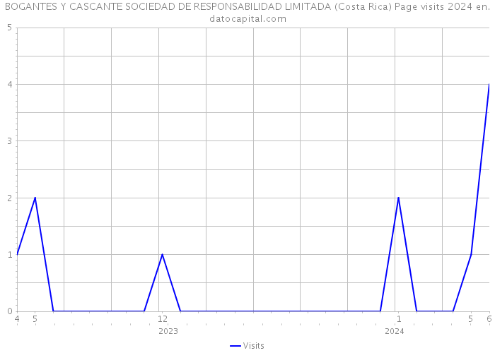 BOGANTES Y CASCANTE SOCIEDAD DE RESPONSABILIDAD LIMITADA (Costa Rica) Page visits 2024 