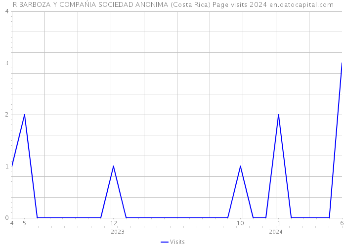 R BARBOZA Y COMPAŃIA SOCIEDAD ANONIMA (Costa Rica) Page visits 2024 