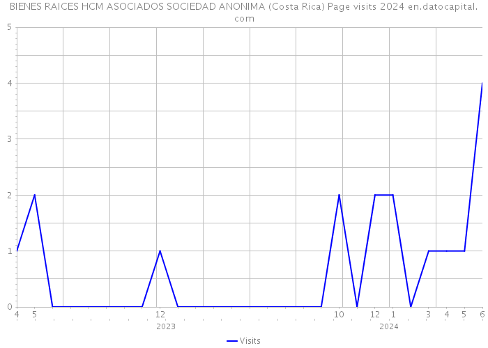 BIENES RAICES HCM ASOCIADOS SOCIEDAD ANONIMA (Costa Rica) Page visits 2024 