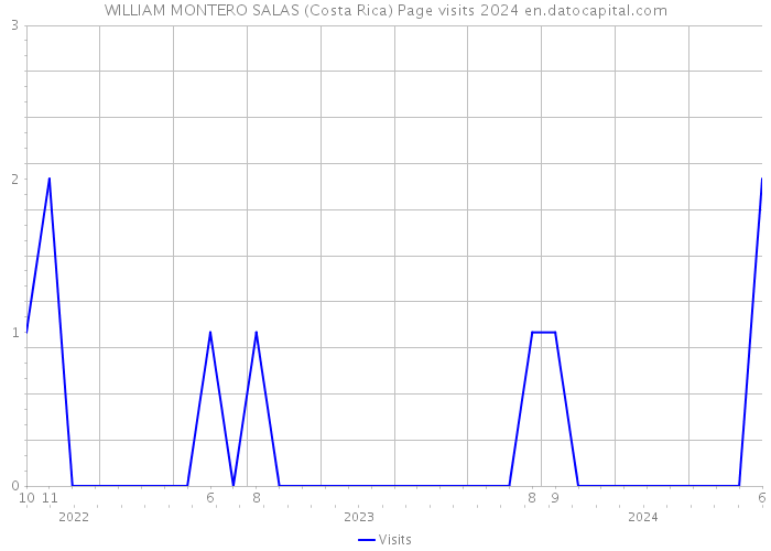 WILLIAM MONTERO SALAS (Costa Rica) Page visits 2024 