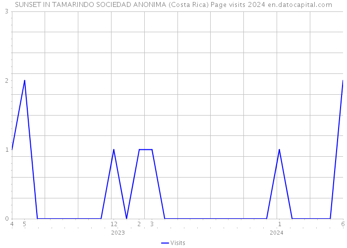 SUNSET IN TAMARINDO SOCIEDAD ANONIMA (Costa Rica) Page visits 2024 