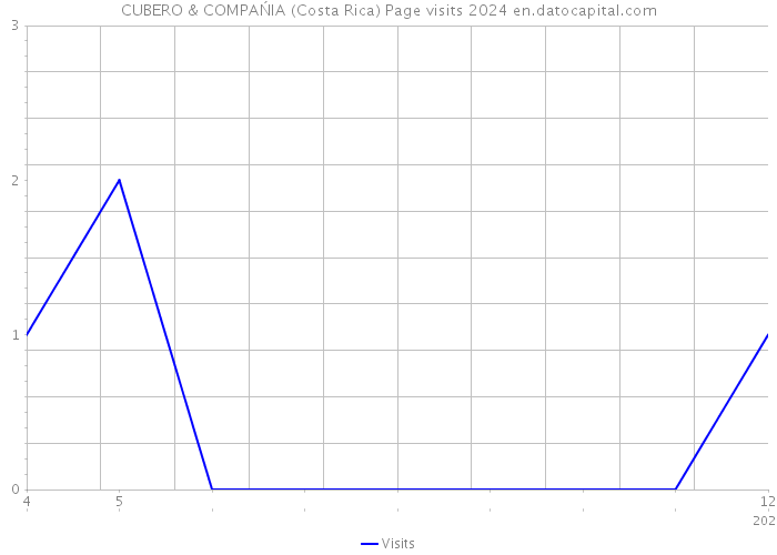 CUBERO & COMPAŃIA (Costa Rica) Page visits 2024 