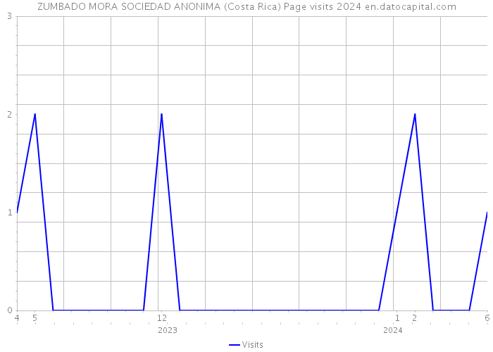 ZUMBADO MORA SOCIEDAD ANONIMA (Costa Rica) Page visits 2024 