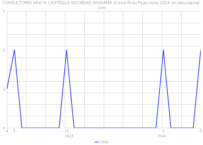 CONSULTORES ARAYA CASTRILLO SOCIEDAD ANONIMA (Costa Rica) Page visits 2024 