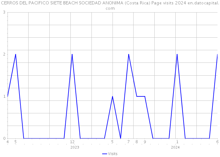CERROS DEL PACIFICO SIETE BEACH SOCIEDAD ANONIMA (Costa Rica) Page visits 2024 
