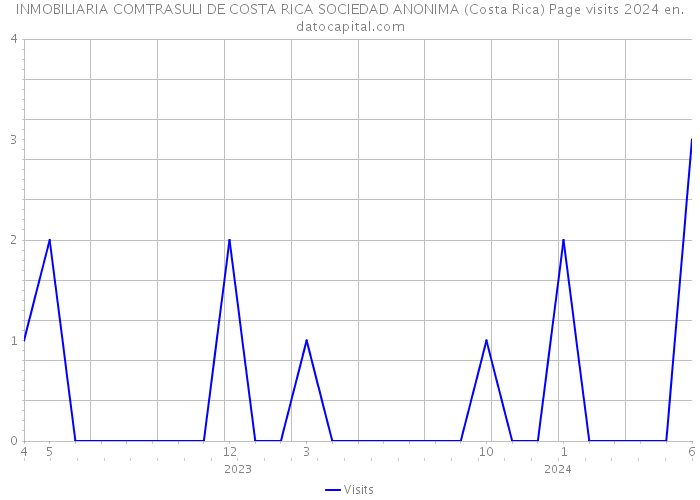 INMOBILIARIA COMTRASULI DE COSTA RICA SOCIEDAD ANONIMA (Costa Rica) Page visits 2024 
