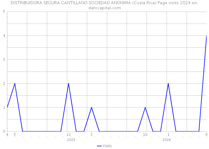 DISTRIBUIDORA SEGURA CANTILLANO SOCIEDAD ANONIMA (Costa Rica) Page visits 2024 