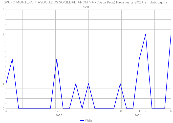 GRUPO MONTERO Y ASOCIADOS SOCIEDAD ANONIMA (Costa Rica) Page visits 2024 