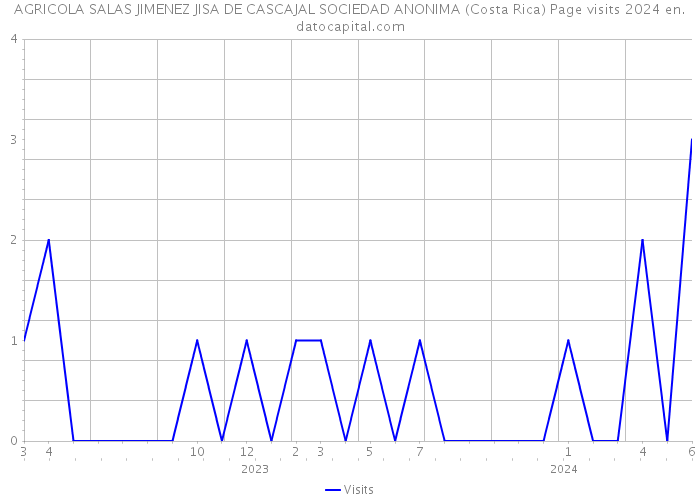 AGRICOLA SALAS JIMENEZ JISA DE CASCAJAL SOCIEDAD ANONIMA (Costa Rica) Page visits 2024 