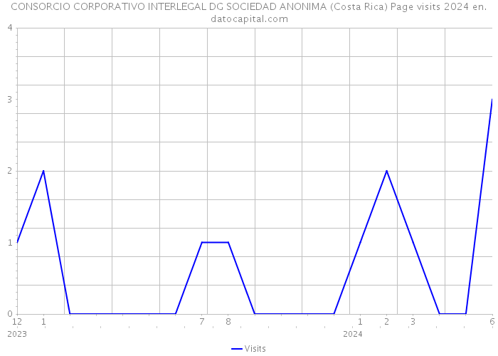 CONSORCIO CORPORATIVO INTERLEGAL DG SOCIEDAD ANONIMA (Costa Rica) Page visits 2024 