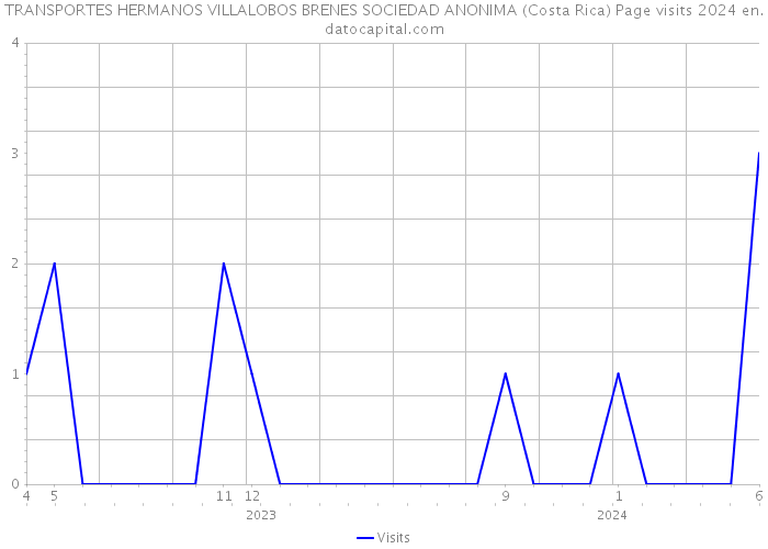TRANSPORTES HERMANOS VILLALOBOS BRENES SOCIEDAD ANONIMA (Costa Rica) Page visits 2024 