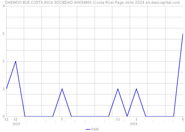 DAEWOO BUS COSTA RICA SOCIEDAD ANONIMA (Costa Rica) Page visits 2024 