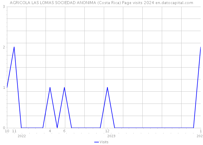 AGRICOLA LAS LOMAS SOCIEDAD ANONIMA (Costa Rica) Page visits 2024 