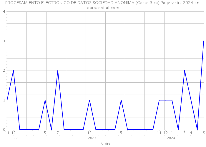 PROCESAMIENTO ELECTRONICO DE DATOS SOCIEDAD ANONIMA (Costa Rica) Page visits 2024 