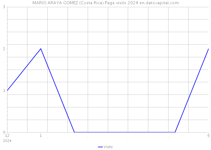 MARIO ARAYA GOMEZ (Costa Rica) Page visits 2024 