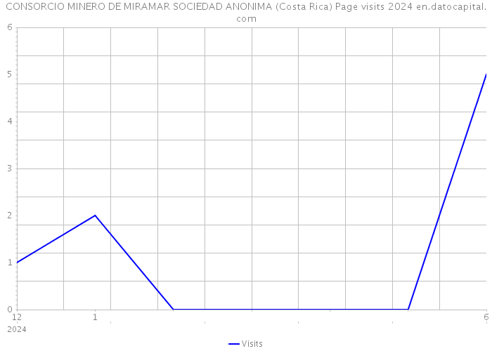 CONSORCIO MINERO DE MIRAMAR SOCIEDAD ANONIMA (Costa Rica) Page visits 2024 