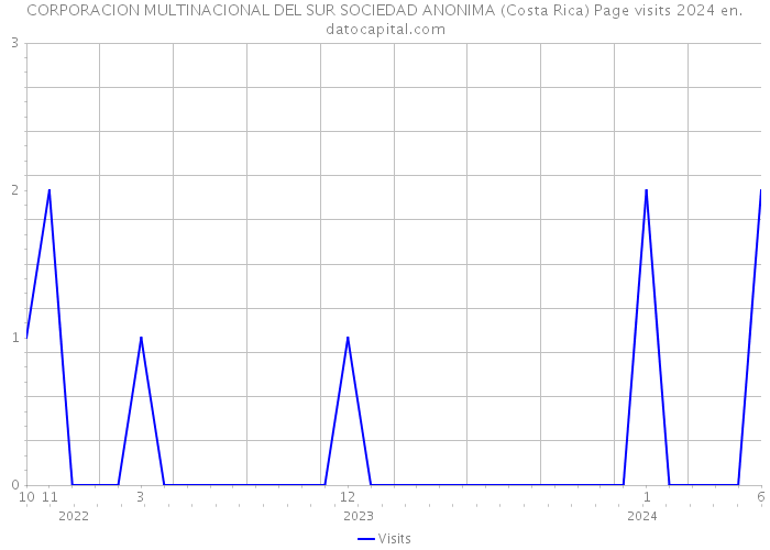 CORPORACION MULTINACIONAL DEL SUR SOCIEDAD ANONIMA (Costa Rica) Page visits 2024 