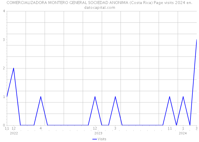COMERCIALIZADORA MONTERO GENERAL SOCIEDAD ANONIMA (Costa Rica) Page visits 2024 
