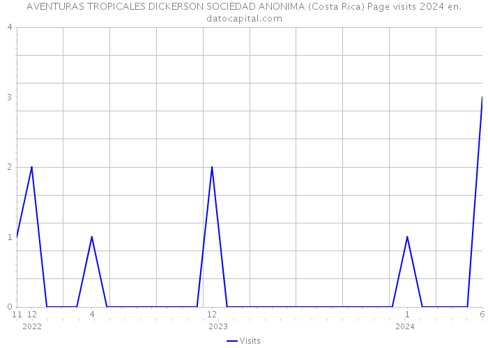 AVENTURAS TROPICALES DICKERSON SOCIEDAD ANONIMA (Costa Rica) Page visits 2024 