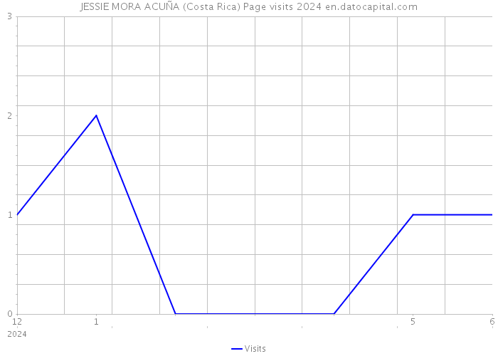 JESSIE MORA ACUÑA (Costa Rica) Page visits 2024 