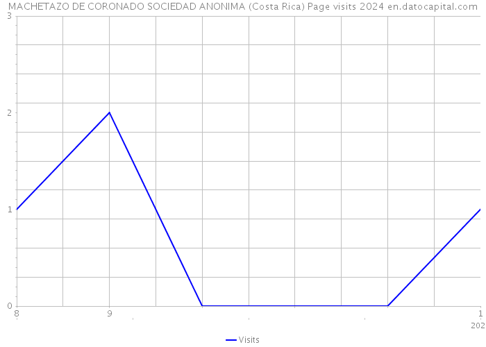 MACHETAZO DE CORONADO SOCIEDAD ANONIMA (Costa Rica) Page visits 2024 