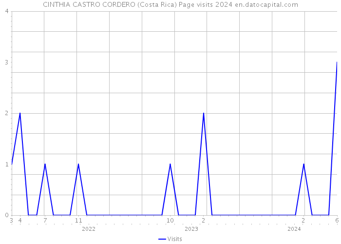 CINTHIA CASTRO CORDERO (Costa Rica) Page visits 2024 