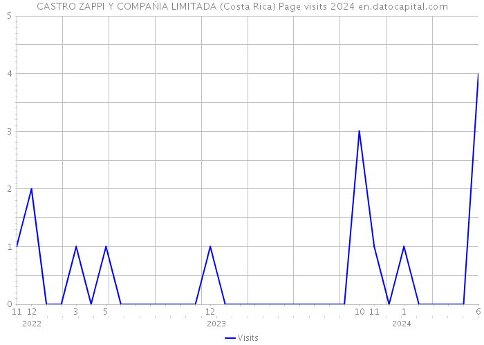 CASTRO ZAPPI Y COMPAŃIA LIMITADA (Costa Rica) Page visits 2024 