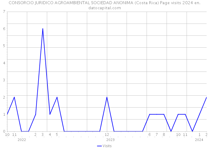 CONSORCIO JURIDICO AGROAMBIENTAL SOCIEDAD ANONIMA (Costa Rica) Page visits 2024 