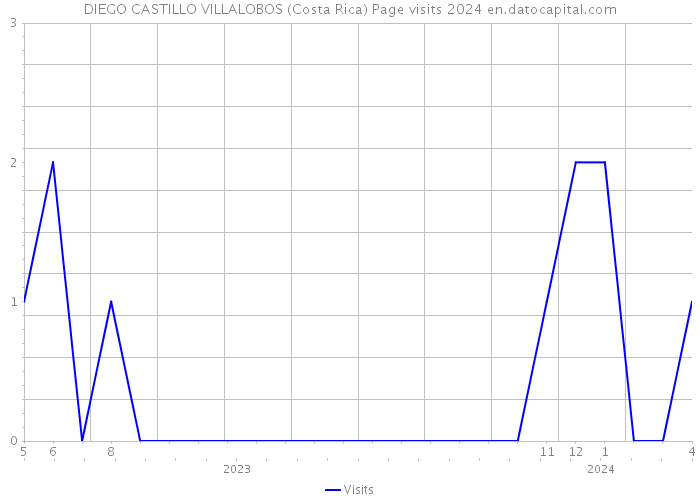 DIEGO CASTILLO VILLALOBOS (Costa Rica) Page visits 2024 