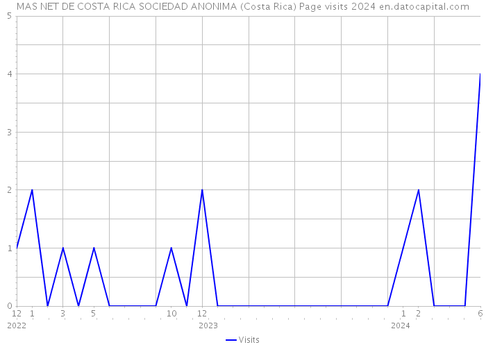MAS NET DE COSTA RICA SOCIEDAD ANONIMA (Costa Rica) Page visits 2024 