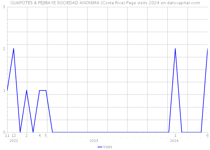 GUAPOTES & PEJIBAYE SOCIEDAD ANONIMA (Costa Rica) Page visits 2024 