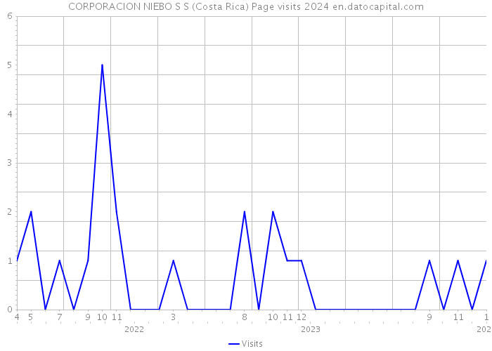 CORPORACION NIEBO S S (Costa Rica) Page visits 2024 