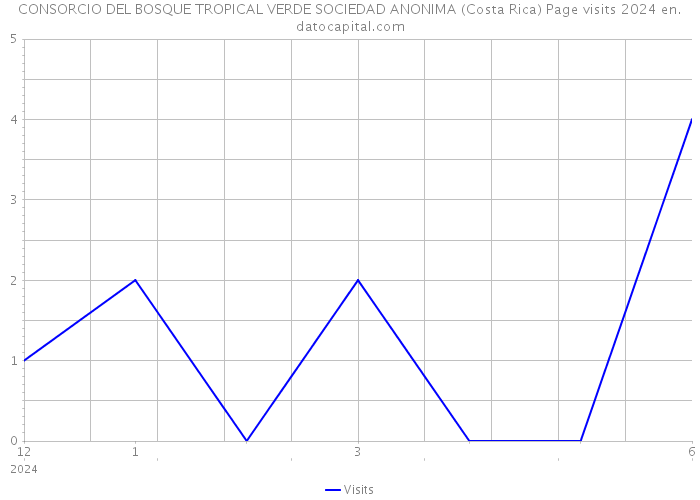 CONSORCIO DEL BOSQUE TROPICAL VERDE SOCIEDAD ANONIMA (Costa Rica) Page visits 2024 