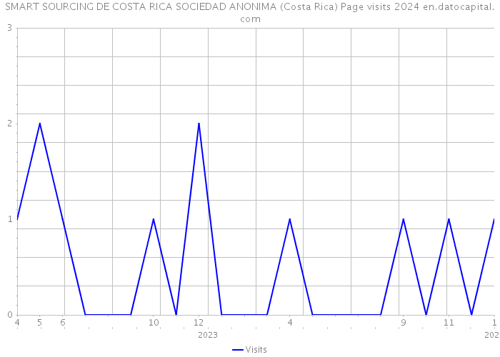 SMART SOURCING DE COSTA RICA SOCIEDAD ANONIMA (Costa Rica) Page visits 2024 