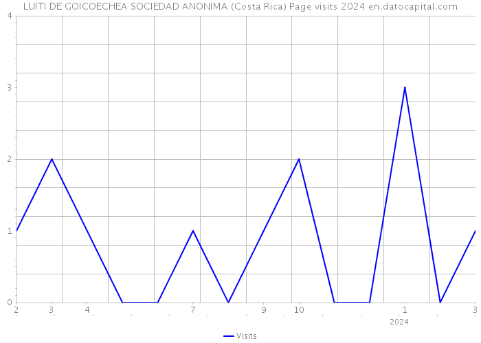 LUITI DE GOICOECHEA SOCIEDAD ANONIMA (Costa Rica) Page visits 2024 
