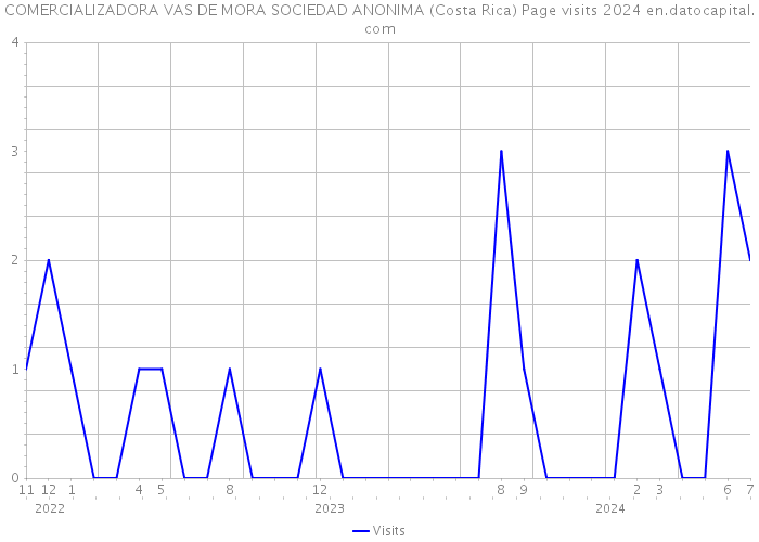 COMERCIALIZADORA VAS DE MORA SOCIEDAD ANONIMA (Costa Rica) Page visits 2024 