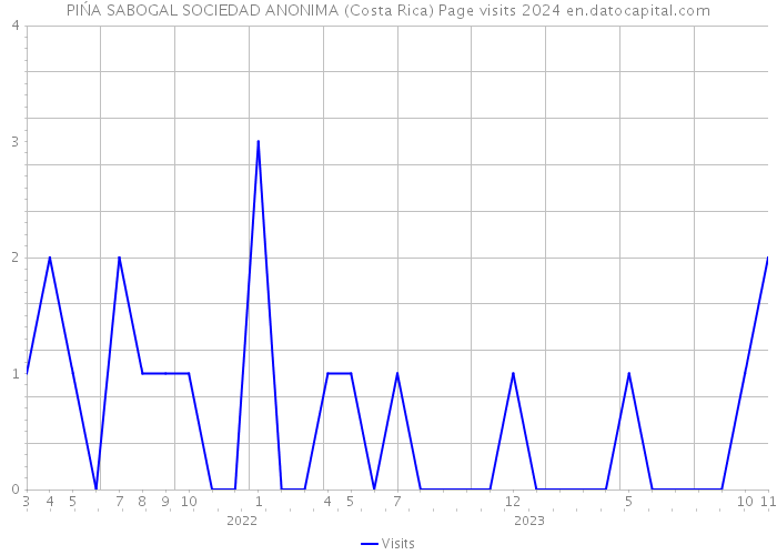 PIŃA SABOGAL SOCIEDAD ANONIMA (Costa Rica) Page visits 2024 