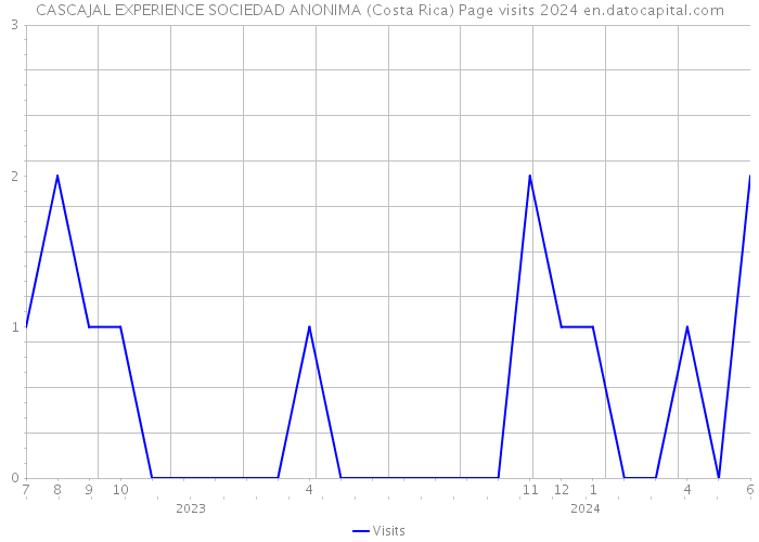 CASCAJAL EXPERIENCE SOCIEDAD ANONIMA (Costa Rica) Page visits 2024 