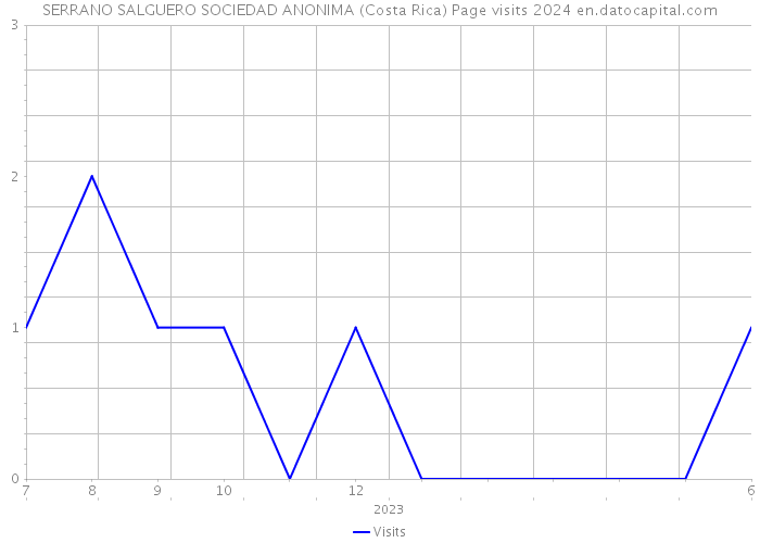 SERRANO SALGUERO SOCIEDAD ANONIMA (Costa Rica) Page visits 2024 