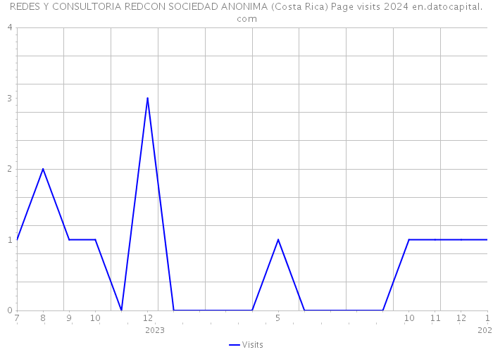 REDES Y CONSULTORIA REDCON SOCIEDAD ANONIMA (Costa Rica) Page visits 2024 