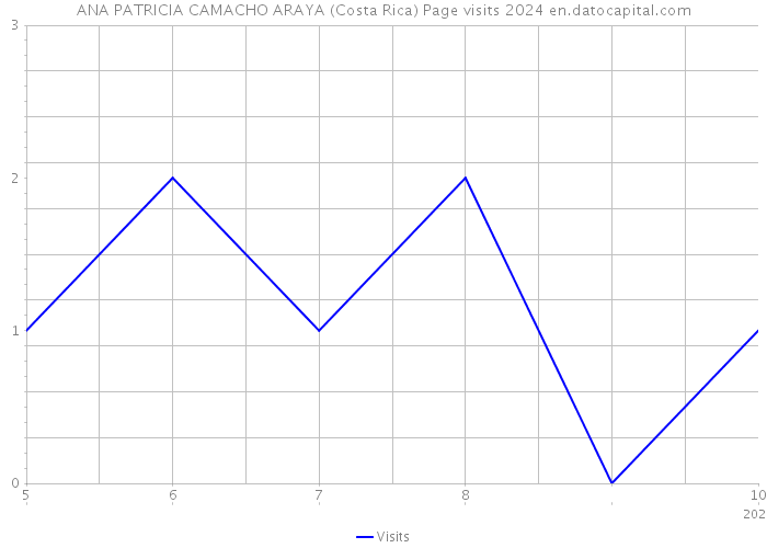 ANA PATRICIA CAMACHO ARAYA (Costa Rica) Page visits 2024 